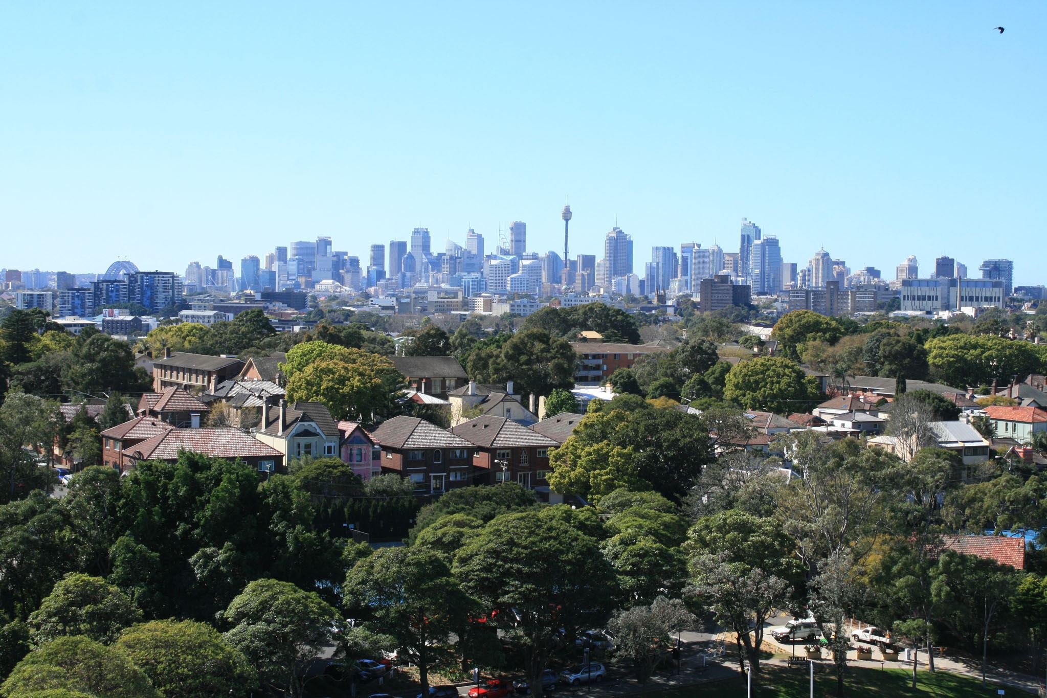  Landscape view of buildings and trees